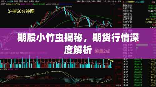 期股小竹虫揭秘,期货行情深度解析