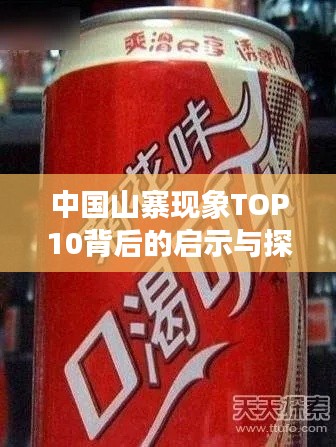 中国山寨现象TOP10背后的启示与探究