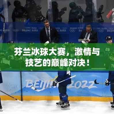 芬兰冰球大赛,激情与技艺的巅峰对决!