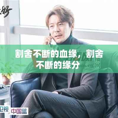 割舍不断的血缘,割舍不断的缘分