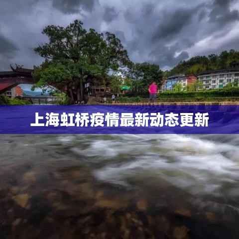 上海虹桥疫情最新动态更新