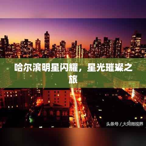 哈尔滨明星闪耀,星光璀璨之旅