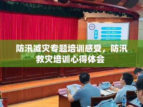 防汛减灾专题培训感受,防汛救灾培训心得体会