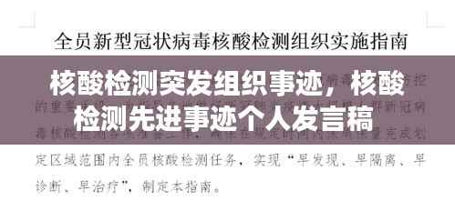 核酸检测突发组织事迹,核酸检测先进事迹个人发言稿