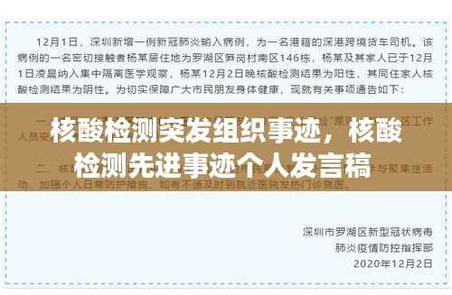 核酸检测突发组织事迹,核酸检测先进事迹个人发言稿