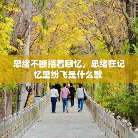 思绪不断挡着回忆,思绪在记忆里纷飞是什么歌