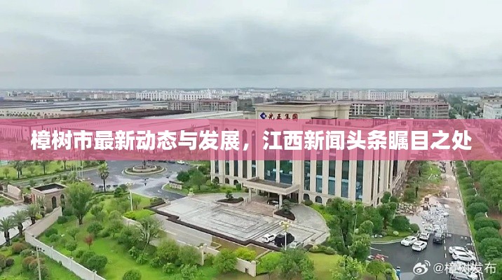 樟树市最新动态与发展,江西新闻头条瞩目之处