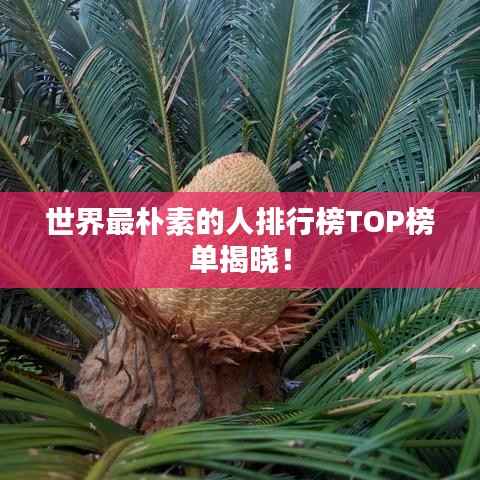 世界最朴素的人排行榜TOP榜单揭晓！