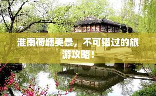 淮南荷塘美景,不可错过的旅游攻略!