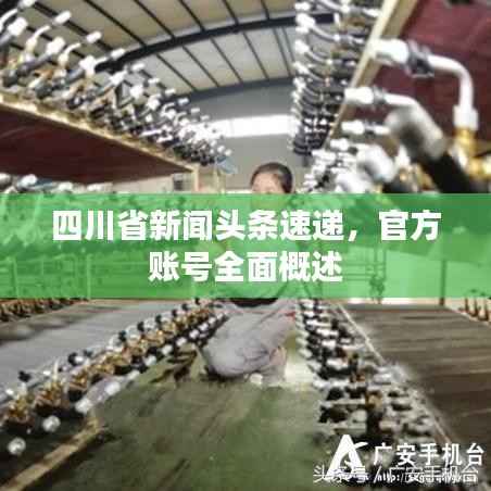 四川省新闻头条速递,官方账号全面概述