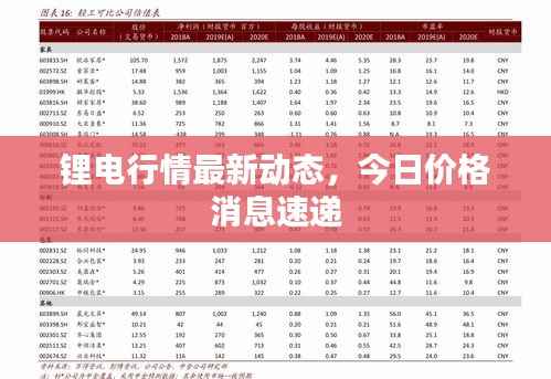 锂电行情最新动态,今日价格消息速递