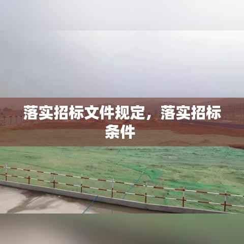 落实招标文件规定,落实招标条件