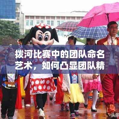拨河比赛中的团队命名艺术,如何凸显团队精神与力量?