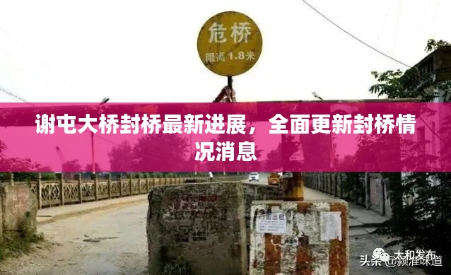 谢屯大桥封桥最新进展,全面更新封桥情况消息