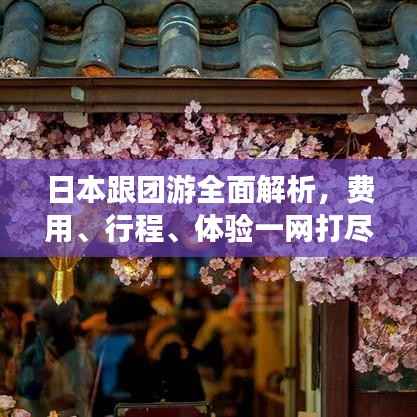 日本跟团游全面解析,费用、行程、体验一网打尽