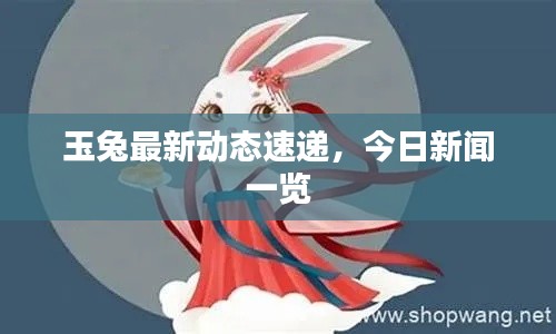 玉兔最新动态速递,今日新闻一览