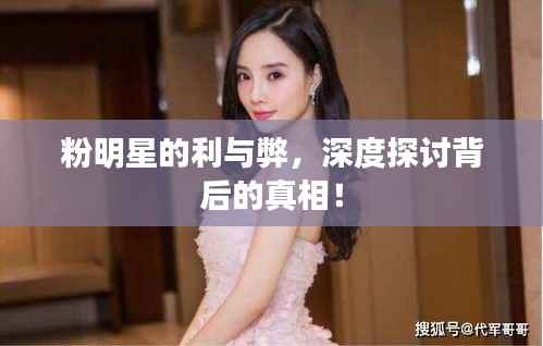 粉明星的利与弊,深度探讨背后的真相!