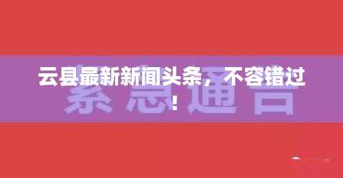 云县最新新闻头条,不容错过!