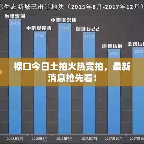 禄口今日土拍火热竞拍,最新消息抢先看!