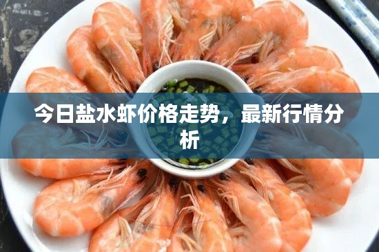 今日盐水虾价格走势,最新行情分析