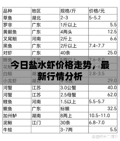 今日盐水虾价格走势,最新行情分析