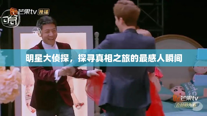 明星大侦探,探寻真相之旅的最感人瞬间