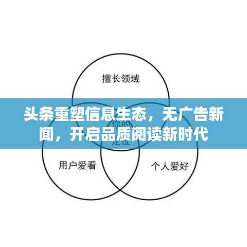 头条重塑信息生态,无广告新闻,开启品质阅读新时代