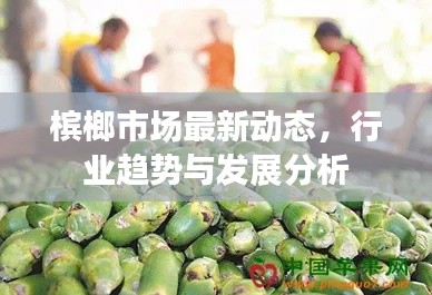 槟榔市场最新动态,行业趋势与发展分析