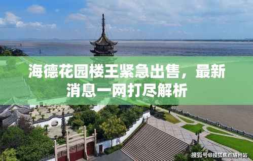 海德花园楼王紧急出售,最新消息一网打尽解析