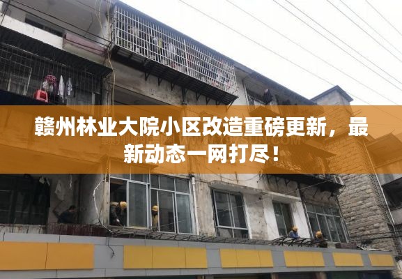 赣州林业大院小区改造重磅更新,最新动态一网打尽!
