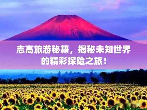 志高旅游秘籍,揭秘未知世界的精彩探险之旅!