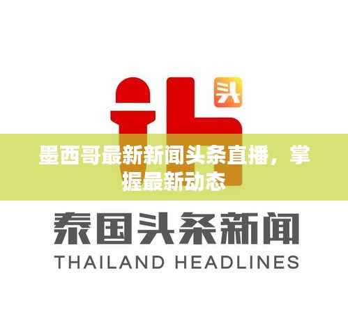 墨西哥最新新闻头条直播,掌握最新动态