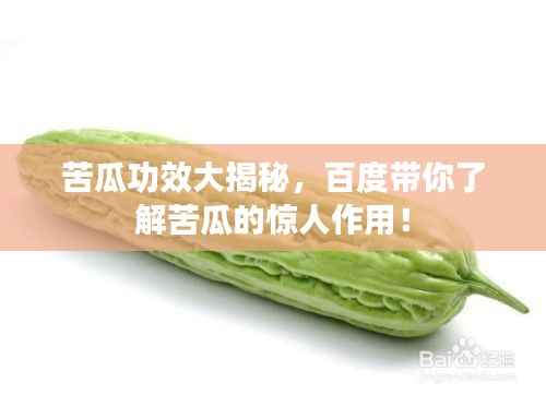 苦瓜功效大揭秘,百度带你了解苦瓜的惊人作用!