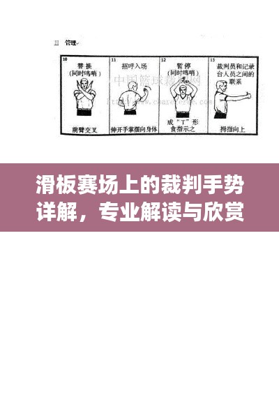 滑板赛场上的裁判手势详解,专业解读与欣赏