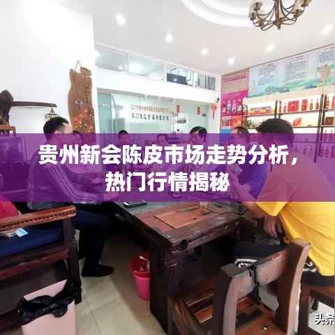 贵州新会陈皮市场走势分析,热门行情揭秘