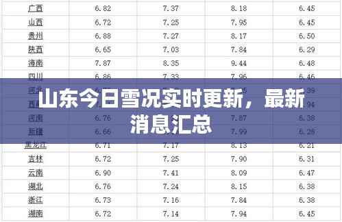 山东今日雪况实时更新,最新消息汇总