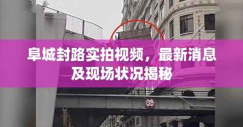 虫书鸟篆 第3页