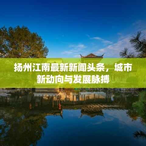 扬州江南最新新闻头条,城市新动向与发展脉搏