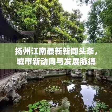 扬州江南最新新闻头条,城市新动向与发展脉搏