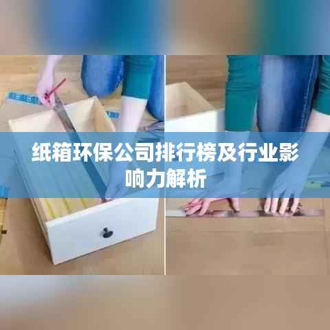 纸箱环保公司排行榜及行业影响力解析