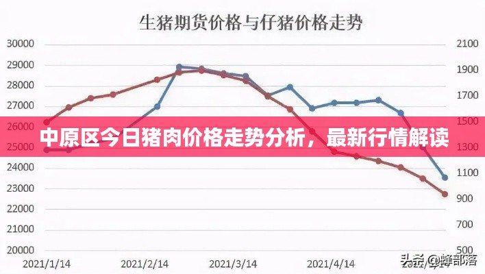 中原区今日猪肉价格走势分析,最新行情解读