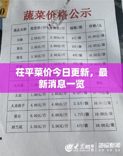 茌平菜价今日更新,最新消息一览