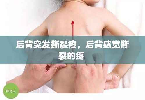 后背突发撕裂疼,后背感觉撕裂的疼