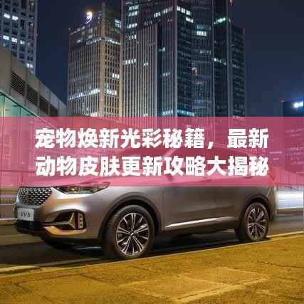 宠物焕新光彩秘籍,最新动物皮肤更新攻略大揭秘!