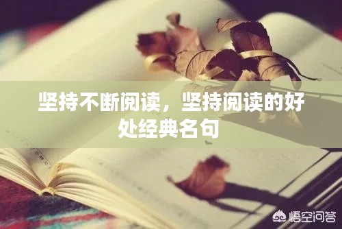 坚持不断阅读,坚持阅读的好处经典名句
