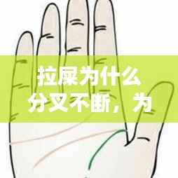 拉屎为什么分叉不断,为什么拉屎是断开的