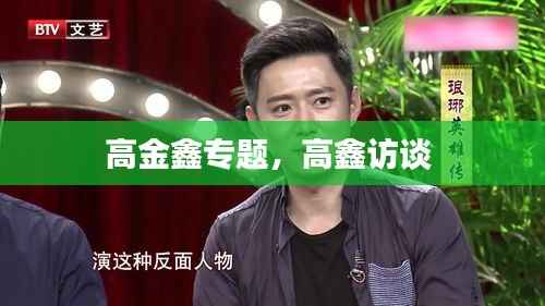 高金鑫专题，高鑫访谈 