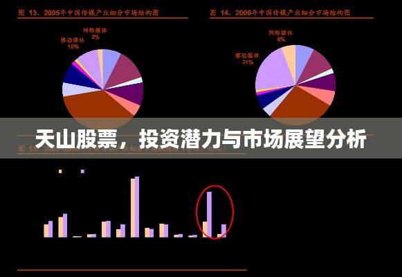 天山股票，投资潜力与市场展望分析
