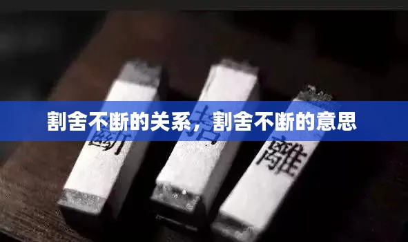 割舍不断的关系,割舍不断的意思
