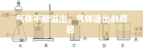 气体不断溢出,气体逸出的原因